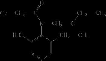 استوکلر ( اسنیت )